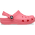 Guava
